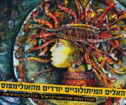 איור - יודי