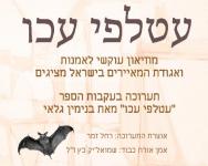 איור - יודי